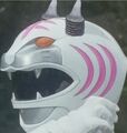 CopyWhite
