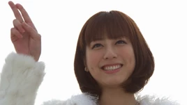 2011 (Gokaiger)