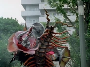 Trinoid 13: Mukadenpansy