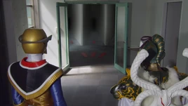 Ninninger 35