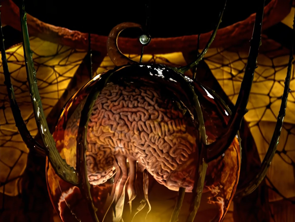 Omni | RangerWiki | Fandom