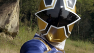 Shinken Gold Solo Change