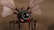 Buzzcams (defunct after Cosmo's death)