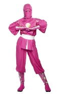 Mmpr-pinkninja