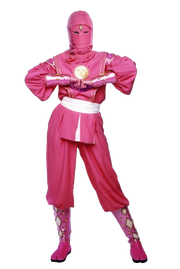 Mmpr-pinkninja