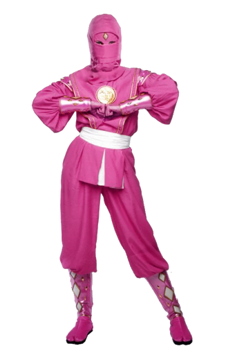 Pink Mighty Morphin Power Ranger Rangerwiki Fandom