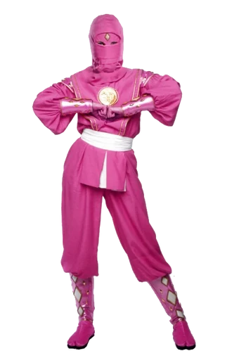 31+ Mighty Morphin Power Rangers Pink