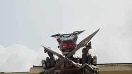 Tokei Grumer Profile