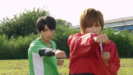 ToQger 33