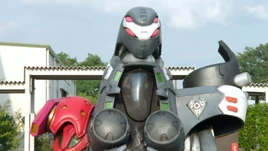 Sunadokeiloid Profile