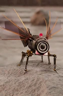 Caméra Mouche (19 kio) Caméras Mouches (Buzzcams en VO)
