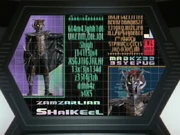 Zamzarlian Shaikeel's name spelling