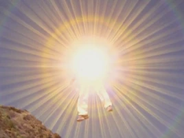 Kite transforms Animus