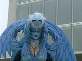 Peewee the Harpy Profile