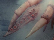 Ikatamagin's regeneration