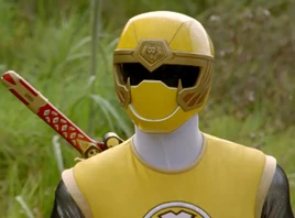 Yellow Wind Ranger Profile