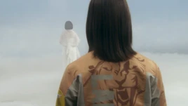Goseiger 25