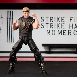 JohnnyBlackBoarRanger