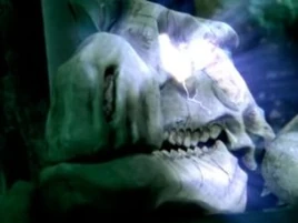 Fossilador-Head-300x225