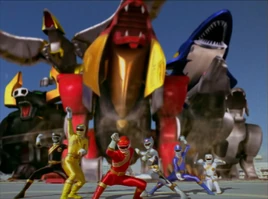 PRWF United We ROAR!