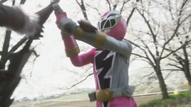 RyusoulPink (Master Pink) Profile