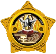 Gold Ninja Power Star