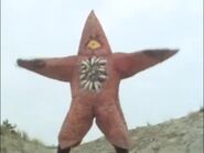 Starfish Mozoo