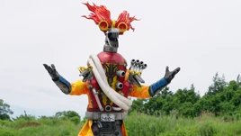 Shokaki Grumer Profile