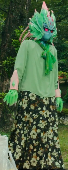 TSD-Ridomihan Mokumisu