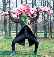 Terror Blossom (deceased)