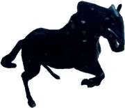 PRMF-Catastros stallion