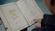 The-Encyclopedia-Of-Magic-And-Spells-Page