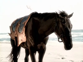 Varikion (Horse)