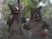 Rat Monsters (returned to normal)