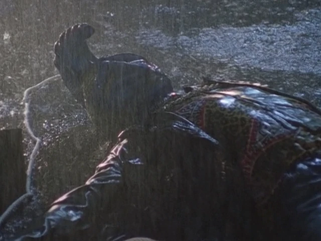 Tenkaonian Yam Tomukun | RangerWiki | Fandom