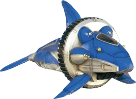 NSH-HurricaneDolphin