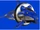 Dolphin Zord