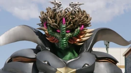 Envy Chiruda Profile