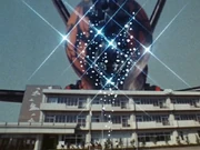 Vulgyre got exposed to Sidon Flowers