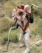 Bloom of Doom (deceased)