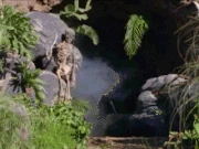 Ghost image of Astronema.