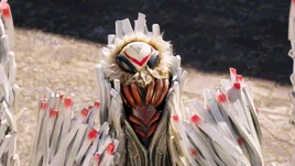 Minongan Moth Profile