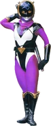 Purple Orchid Flower Ninja Ran