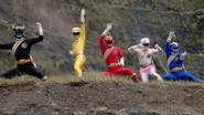 Wild Force