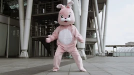 Rabbit Costume