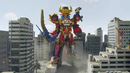 Ninninger 12