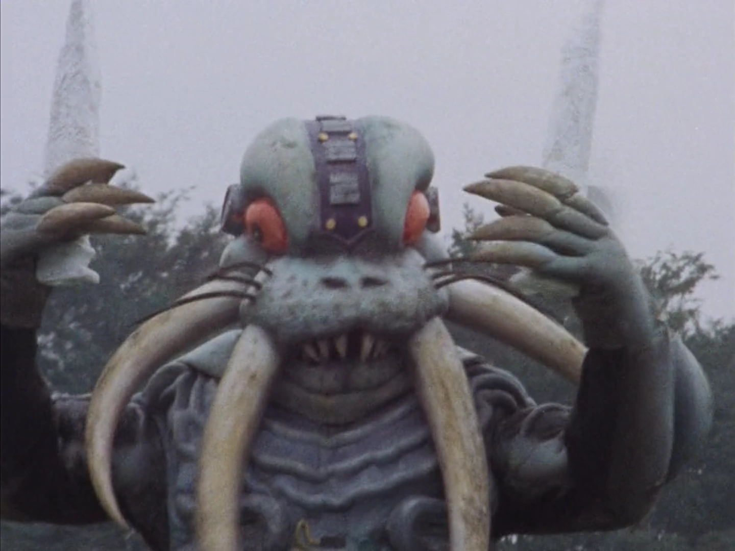 Walrus Mozoo | RangerWiki | Fandom