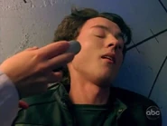 Ziggy 18.jpg (20 KB)