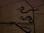 Gorgon's Petrifying Snakes.jpg (187 KB) Gorgon's Snake Swarm