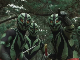 Tail Soldiers Profile